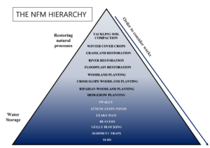 Diagram showing the order to consider carry out NFM works, the NFM Hierarchy