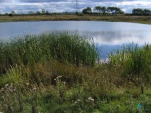 SuDS Feature, Attenuation Pond