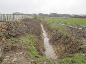 A photo of a swale