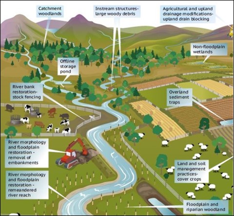 A diagram of a catchment showing natural flood management being used.