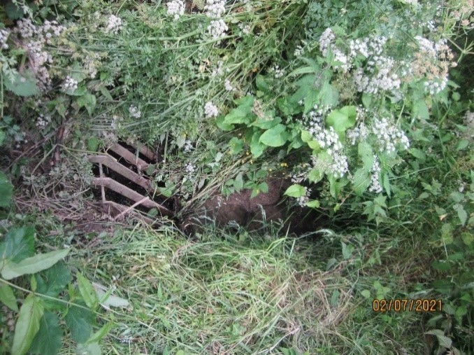 A colour photograph of the the inlet before the improvement work. The area is overgrown and looks blocked.