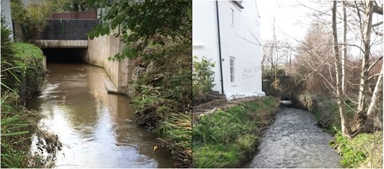 Two images side by side. On the Left Looking downstream at the improved Willhayes Lane culvert on 29 October 2021 with EA river level sensor, on the right looking downstream at the pre-improvement works Willhayes Lane culvert in circa 2014.