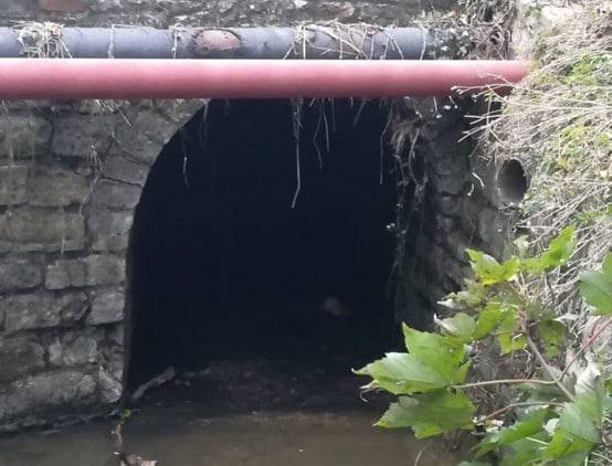 A photo looking downstream at the Chard Road/Stoney Lane Culvert on the Millbrook. Picture taken November 2021.