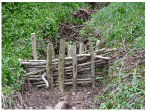 Photograph of an in-ditch leaky dam constructed using Hazel and secured in place using wooden stakes.