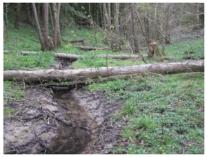 Photograph of a log laid over a small stream, acting as a flow spreader.