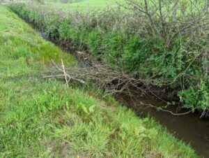 A wooden leaky dam in a small watercourse between two fields.