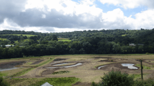 An area of wetland being created with diggers.