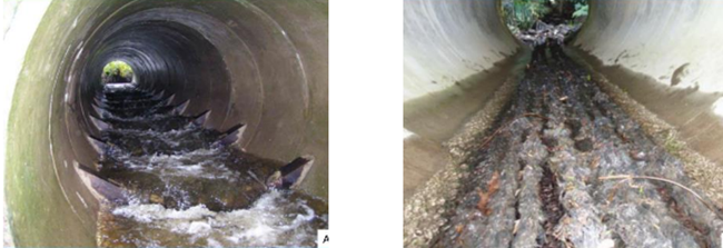 Two examples of retrofit eel pass solutions within culverts. Image on the left shows baffles which have been retrofitted in a culvert to improve eel passage. Image on the right shows spat ropes which have been installed within a culvert to improve eel passage.