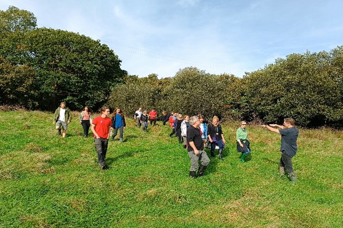 People walking in a field
