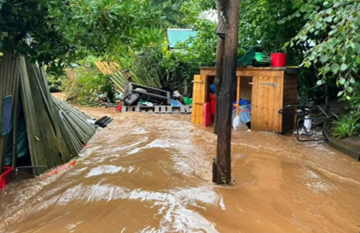 Flood water flowing through a garden.
