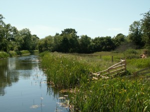 Fencing along edge of canal to create a buffer strip between the water and farmland with drinking points for livestock.