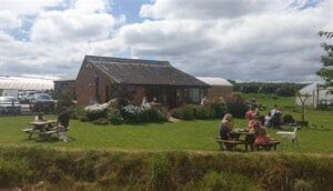 Outdoor seating area at the Swans Neck Café