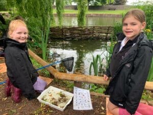 Pond dipping