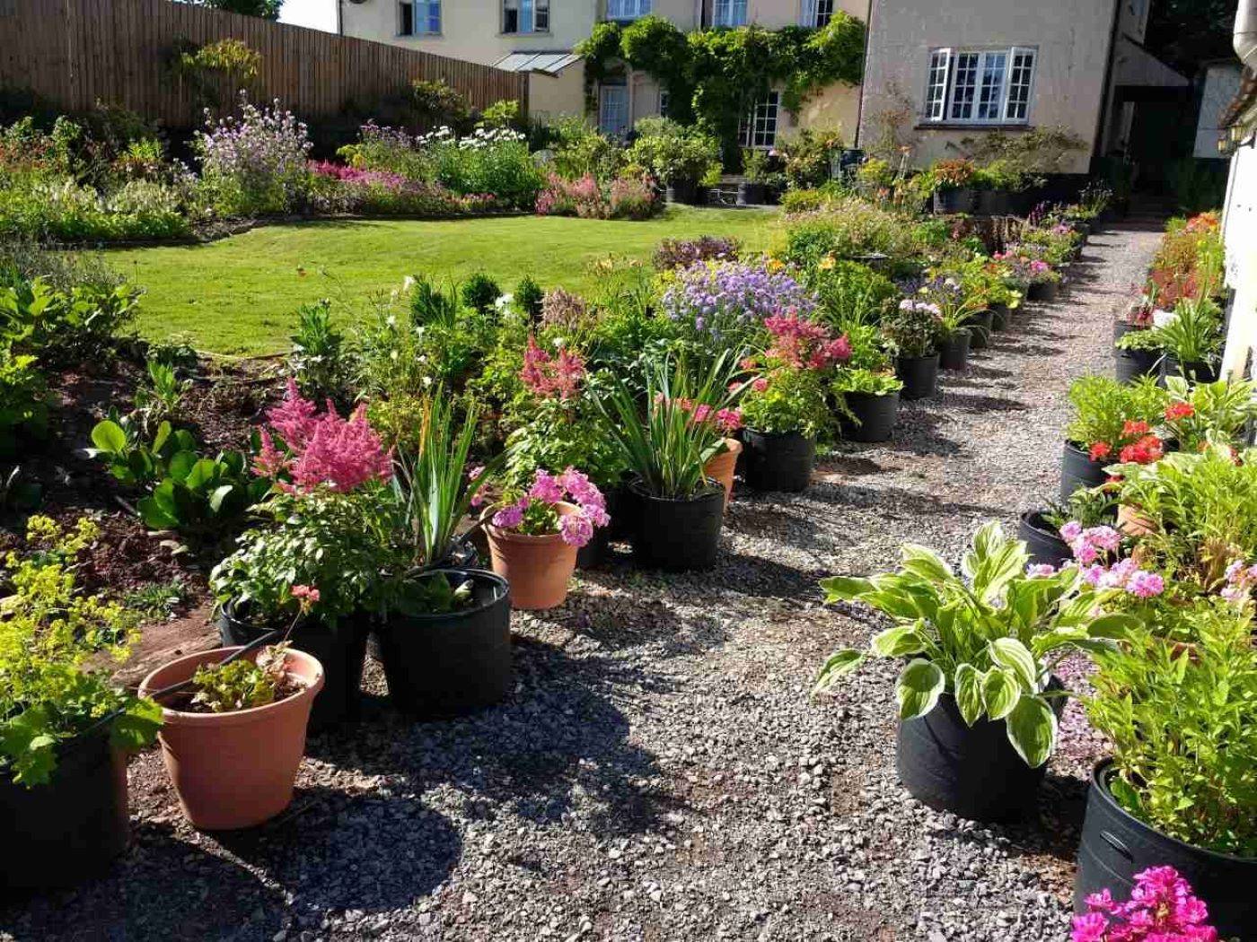 Brambles B&B garden in Sampford Peverell