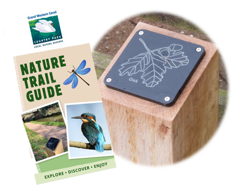New Brass Rubbing Nature Trail Guide and example of rubbing post