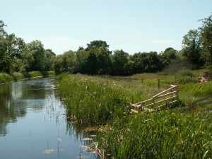 Fencing along edge of canal to create a buffer strip between the water and farmland with drinking points for livestock