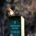 Robin on post by Nicky Cook