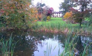 Manley's Bed and Breakfast pictured in large grounds