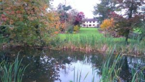 Manley's Bed and Breakfast pictured in large grounds
