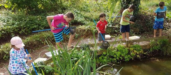 Pond dipping by Jo Roberts