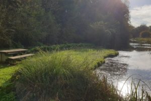 Lowdwells Picnic Site