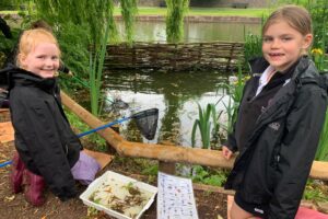 Pond dipping