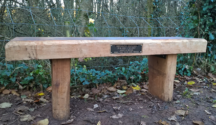 Oak Bench