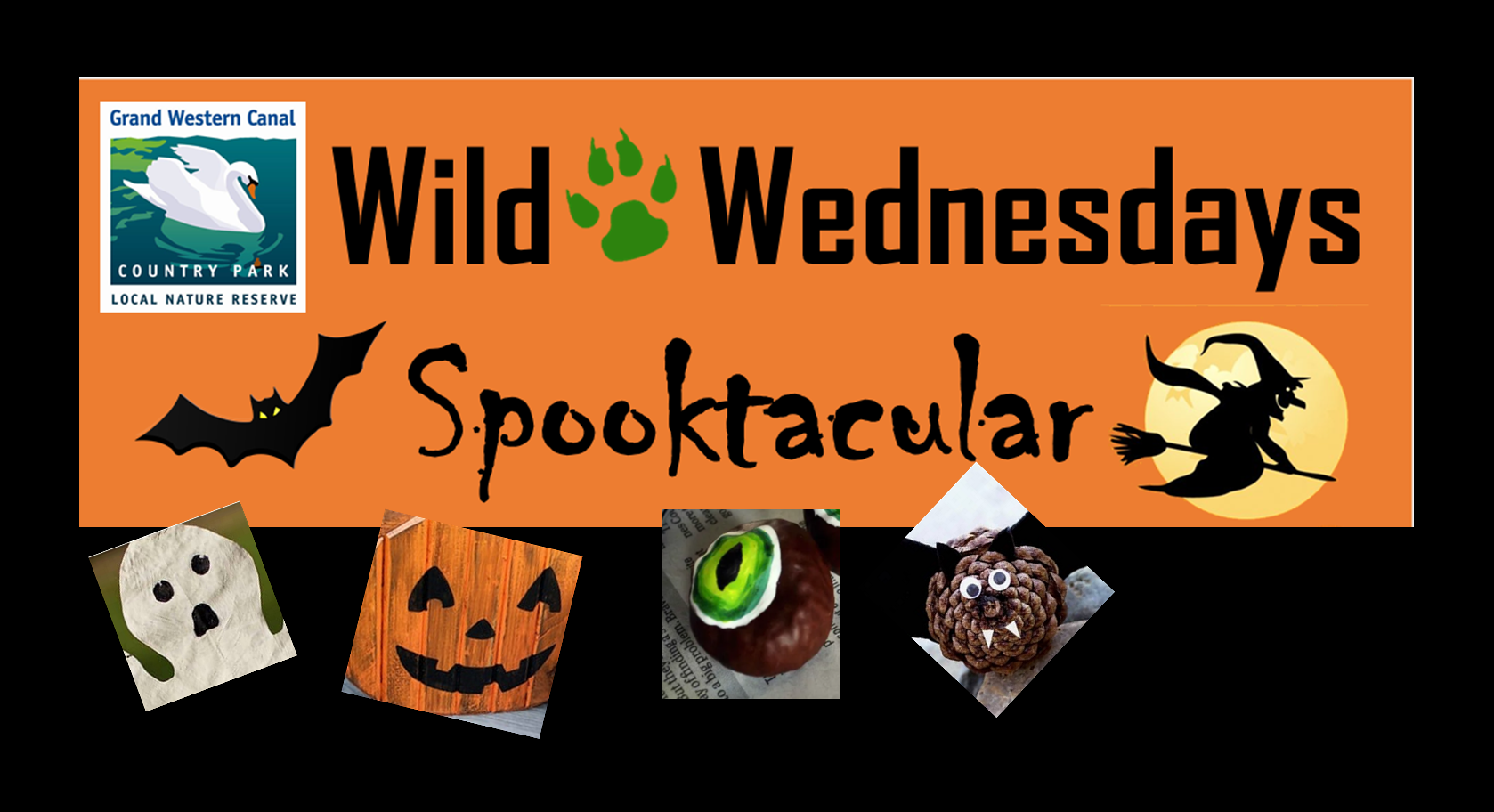 Wild Wednesday - Spooktacular
