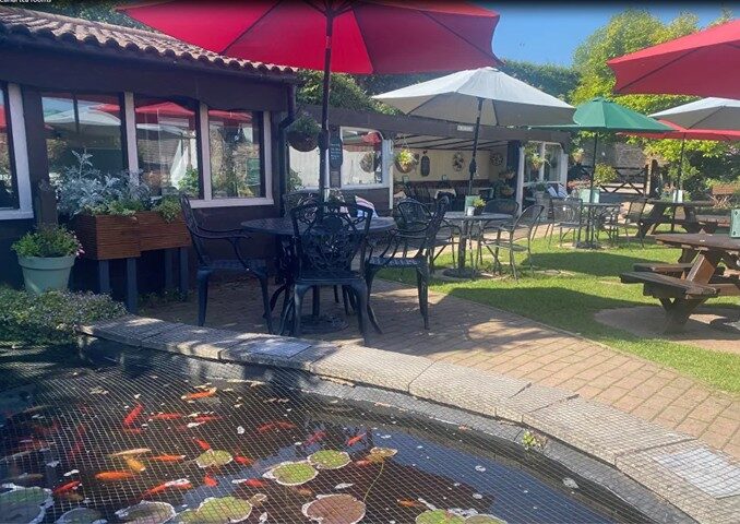 Pond and seating area in the Canal Tea Room garden