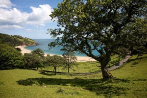 Blackpool Sands Summer Walk