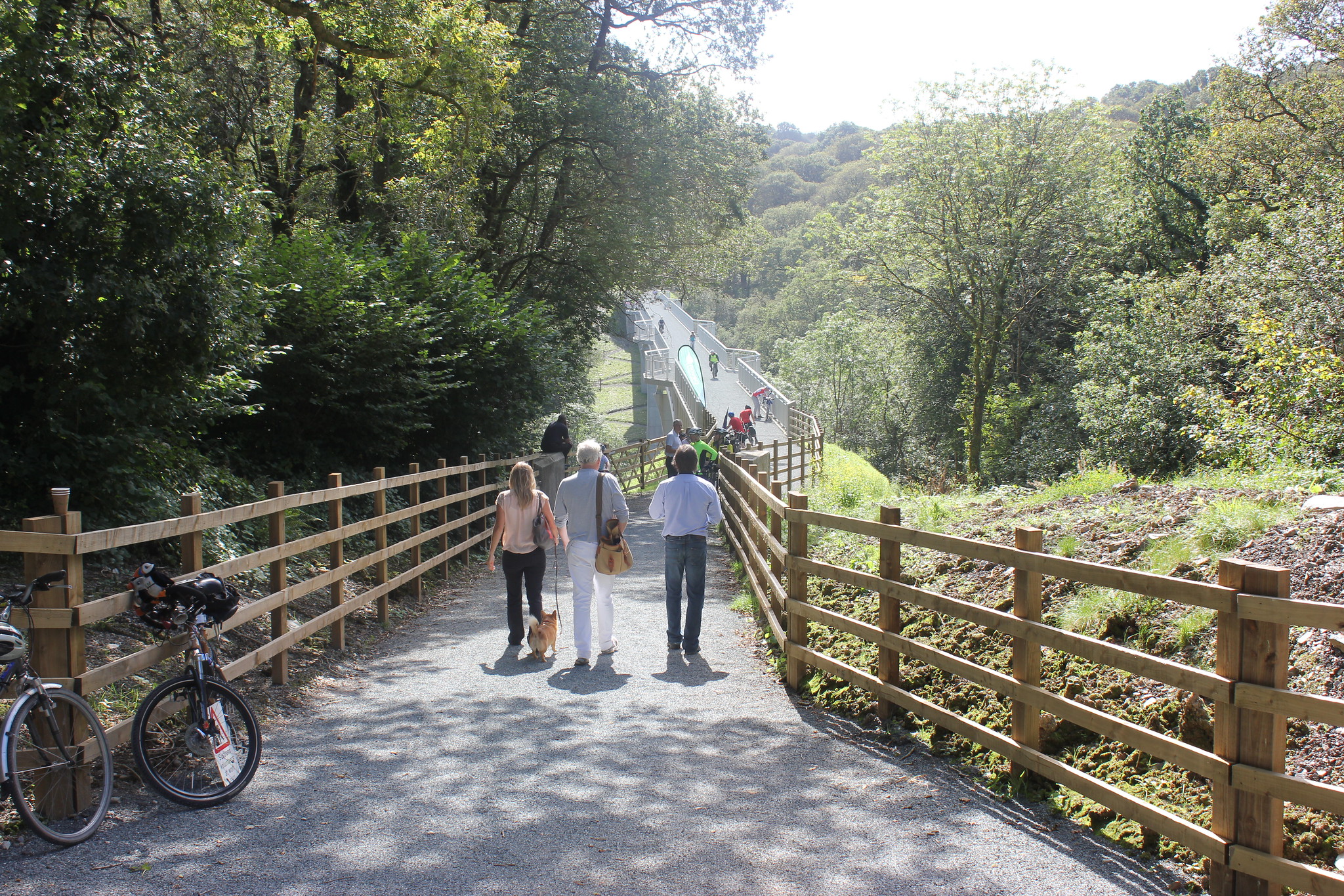 Walkers, dog walkers and cyclists using Gem Bridge on Drake's Trail