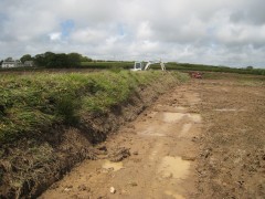 Hedgerow creation