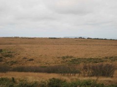 Bursdon Barrows with Lundy Island