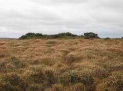 Bursdon Moor Barrow