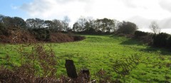Milber Down South Defences 2006