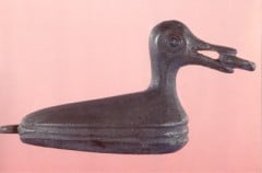 Milber Duck Torquay Museum