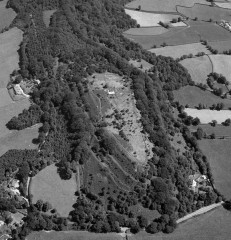 An aerial photograph of the hillfort in 1984, showing a small part of the ramparts – the rest are obscured by tree cover. © Frances Griffith, Devon County Council.