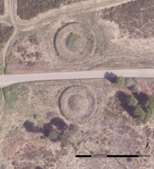 Earthwork mounds on Bicton/Woodbury Common. Next Perspectives PGA Imagery SY0386 22-MAY-2010. © Getmapping Plc.