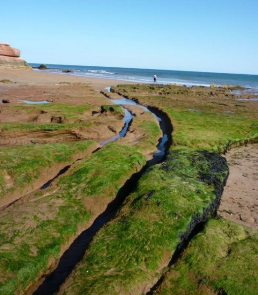 Rock cut cart tracks at Exmouth.