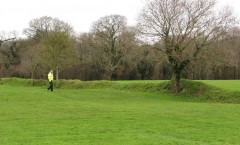 Possible hengiform enclosure bank, more pronounced where it intersects with the field boundary. Photograph: S. Knight, December 2014.