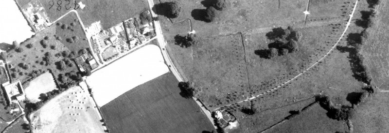 Young replacement trees line the drive at Winslade Park in 1955. RAF/540/1649 F22 0032-0033 25-JUN-1955 Historic England (RAF Photography).