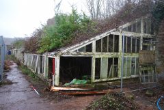 Bicton College. Ruinous glasshouses running against north wall of walled garden, prior to recording and demolition (looking WNW, 2 x 1m scales). Copyright COAS Ltd.