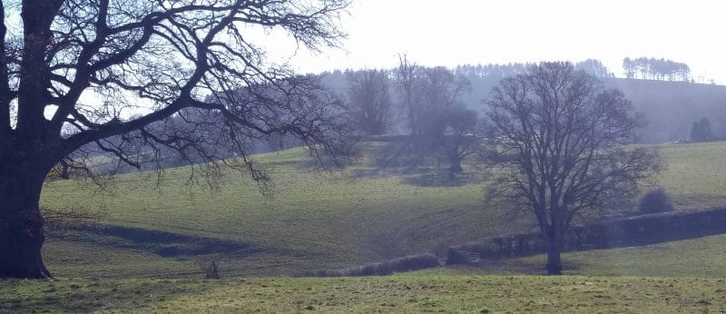 A colour ground photograph showing banks around a hilltop.