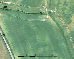 A colour aerial photograph of two parallel dark cropmarks that may have formed the south-west corner of a ditched enclosure