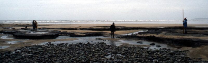 Westward Ho! submerged land surface in the 1980s. Photograph: Devon County Council Westward Ho! submerged land surface in the 1980s. Photograph: Devon County Council