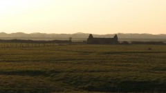 A colour ground photograph of a ruined agricultural building in a flat landscape of reclaimed fields.