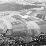 A black and white aerial photograph of an open area, covered with curving strips of different shades, indicating differing cultivation in each adjacent strip.