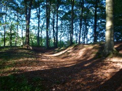 Dolbury Hillfort ramparts, Killerton (© S.Reed)