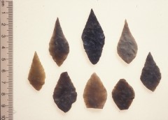 Neolithic flint arrowheads discovered at Haldon. These are about 5000 years old. Stone tools like these can often be the first indication of the presence of an archaeological site. © Royal Albert Memorial Museum & Art Gallery, Exeter
