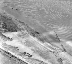 A black and white aerial photograph of the shoreline, with a fish trap visible as a low V-shaped structure .